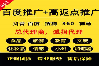 百度推广在电商行业的应用案例分析